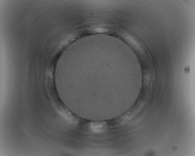 X0000097000373200802081449