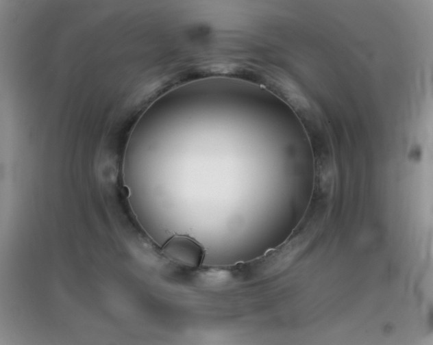 X0000097000374200802081449