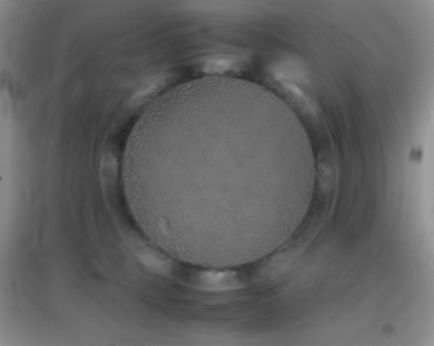 X0000097000375200802081449