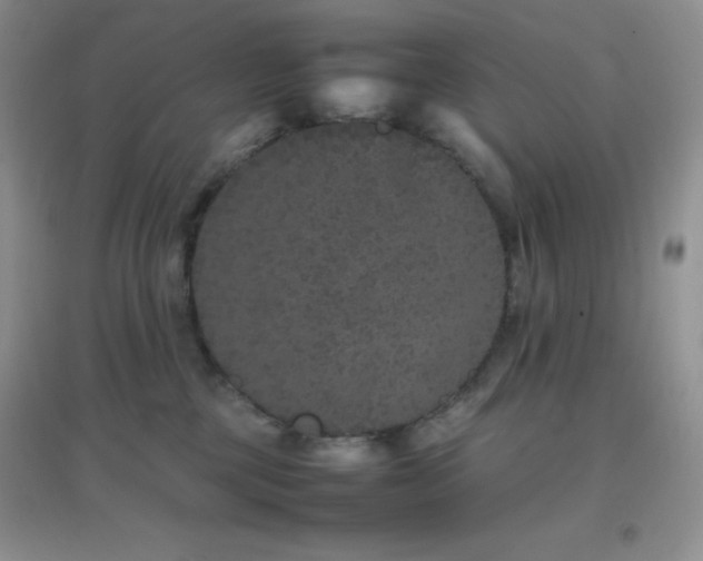 X0000097000377200802081449