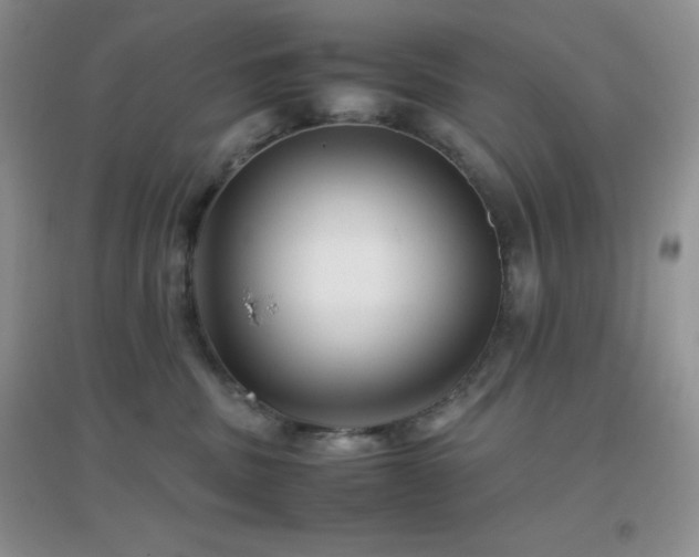 X0000097000379200802081449