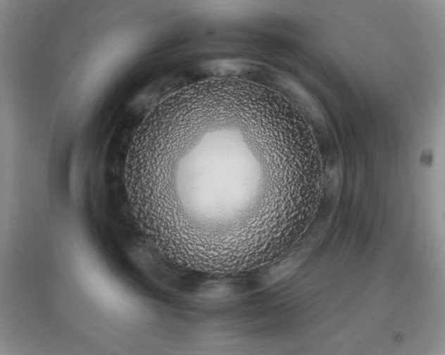 X0000097000381200802081449