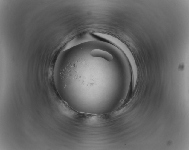 X0000097000382200802081449