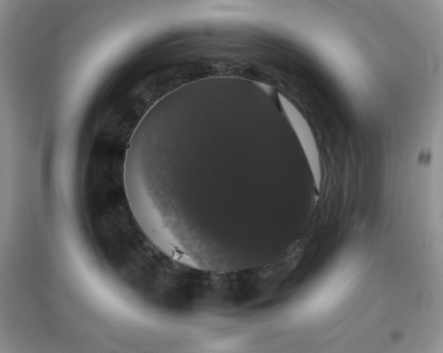 X0000097000383200802081449