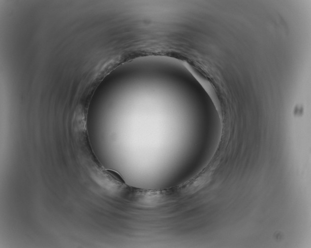 X0000097000384200802081449