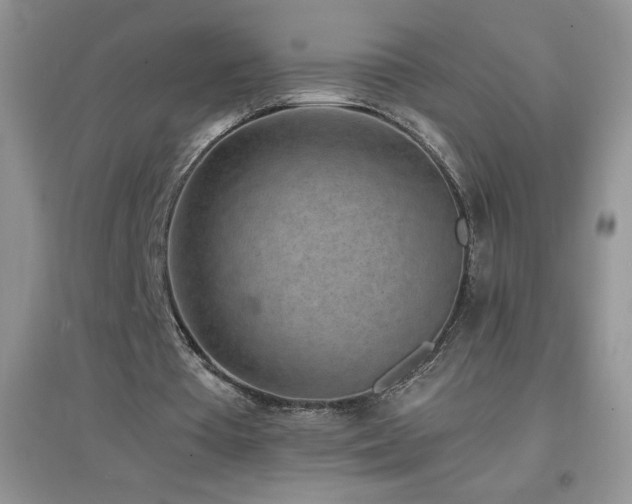 X0000097000385200802081449