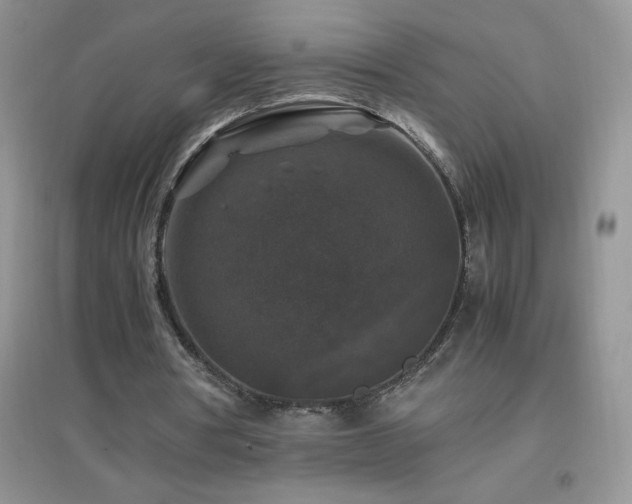 X0000097000386200802081449