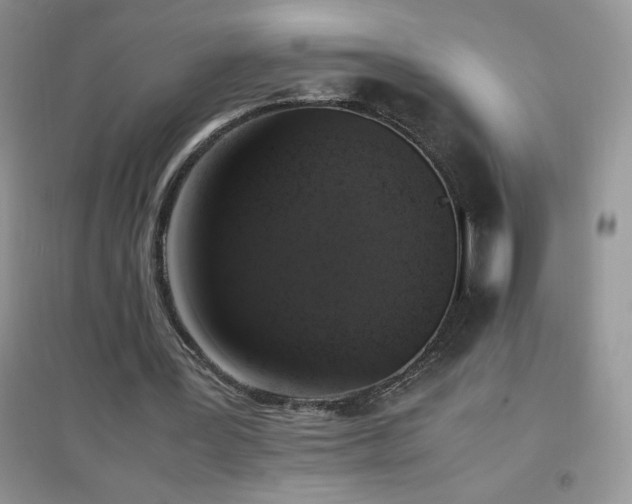 X0000097000387200802081449
