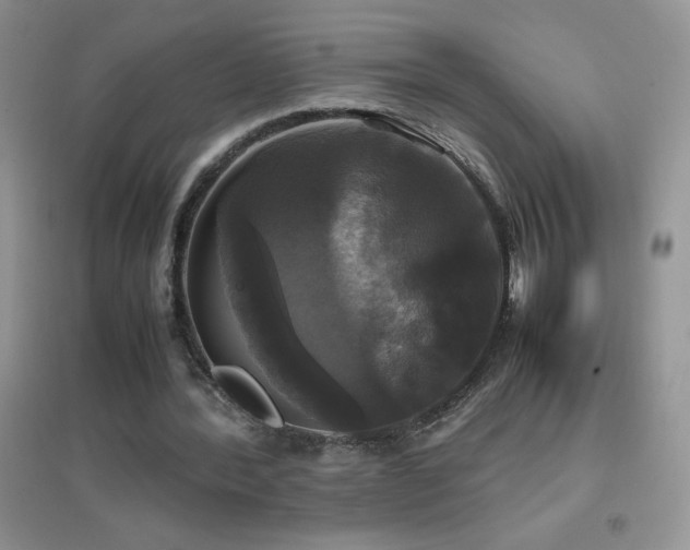 X0000097000388200802081449