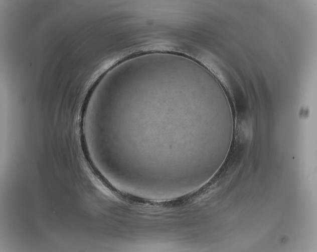 X0000097000389200802081449