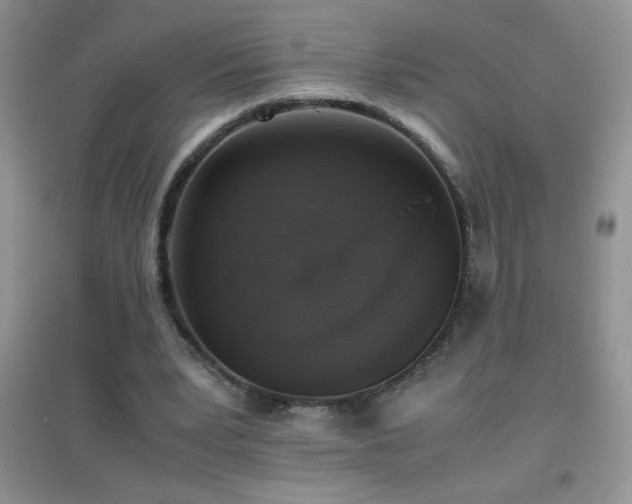 X0000097000391200802081449