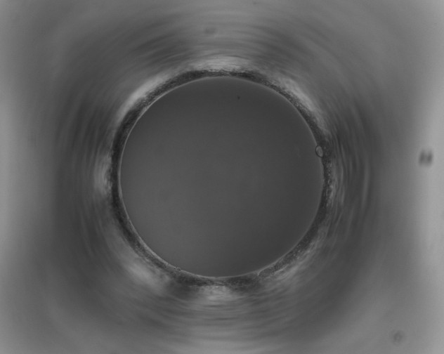 X0000097000392200802081448