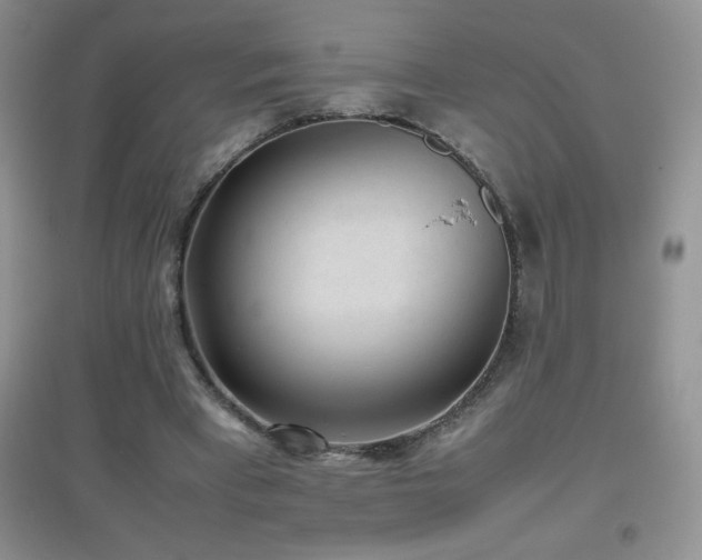 X0000097000393200802081448