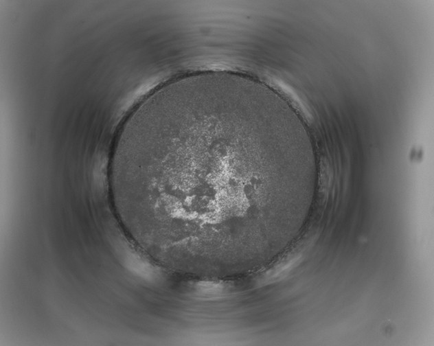 X0000097000394200802081448