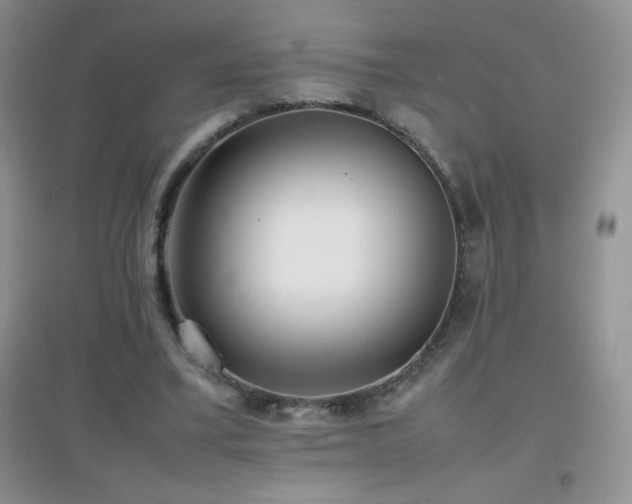 X0000097000395200802081448