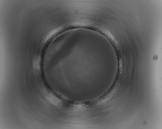 X0000097000396200802081448