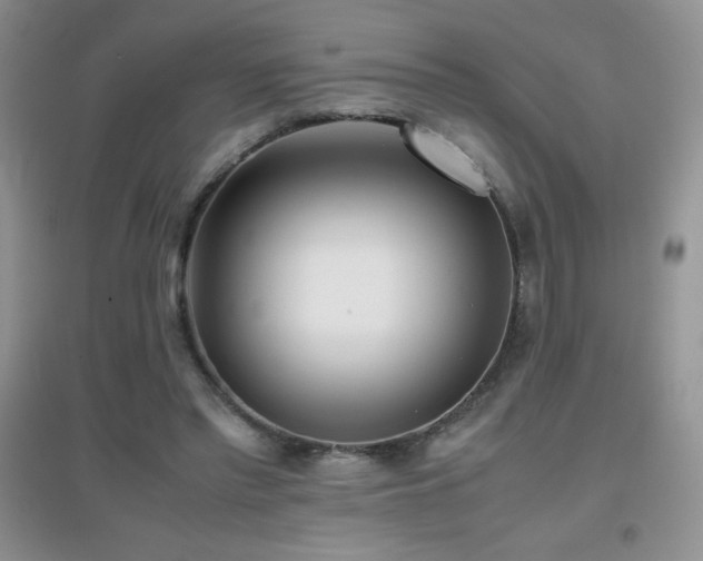 X0000097000397200802081448