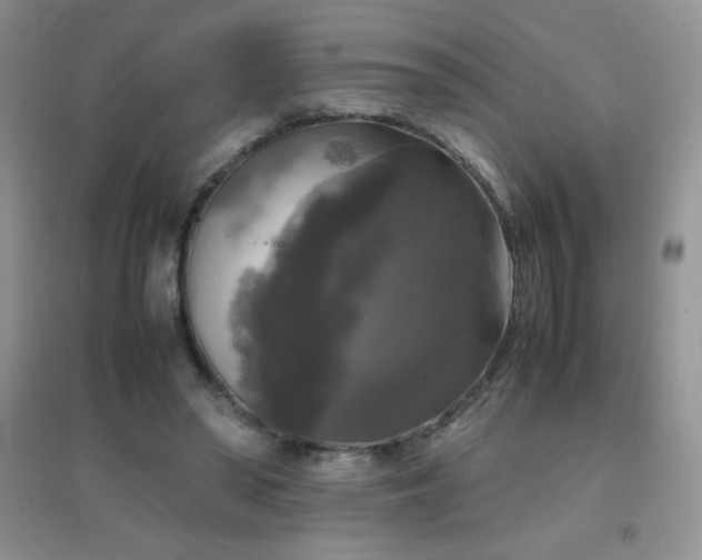 X0000097000398200802081448