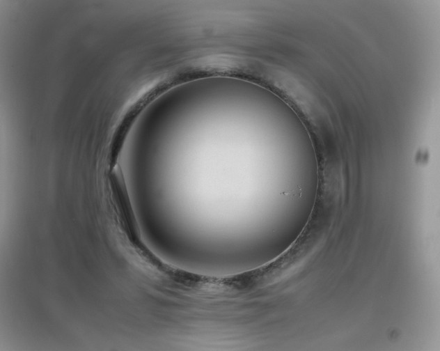 X0000097000399200802081448