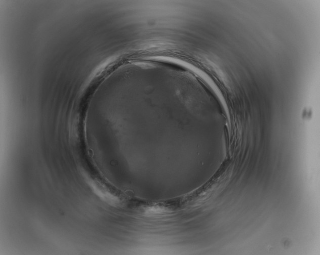 X0000097000400200802081448