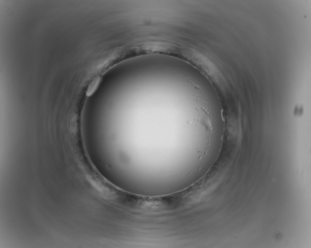 X0000097000401200802081448