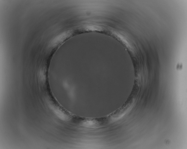 X0000097000402200802081448