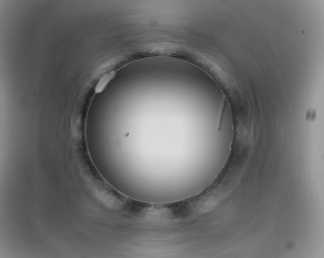 X0000097000403200802081448