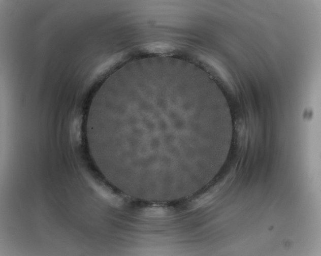 X0000097000404200802081448