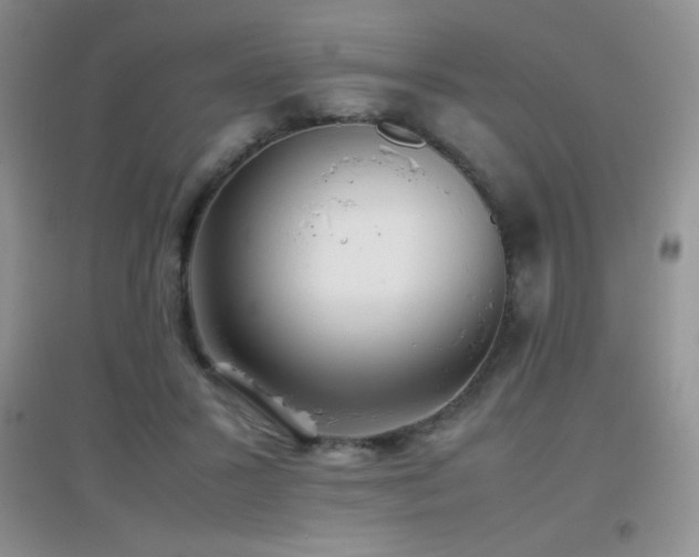X0000097000407200802081448