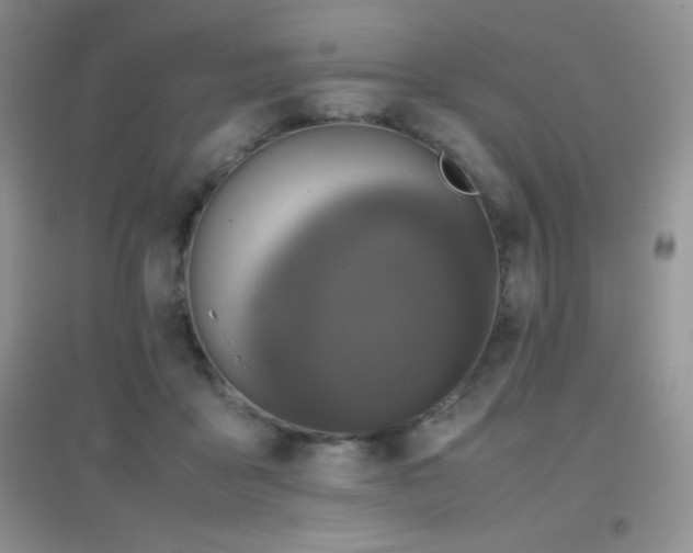 X0000097000411200802081448