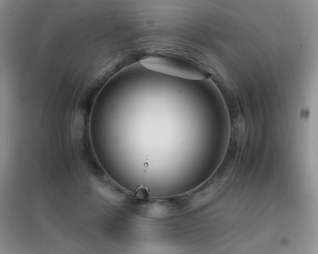 X0000097000412200802081448