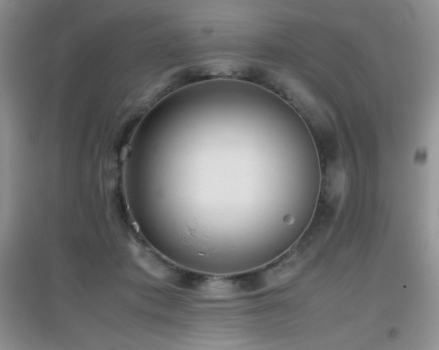 X0000097000413200802081448