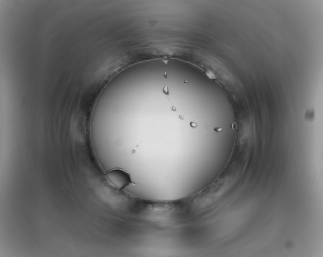 X0000097000414200802081448
