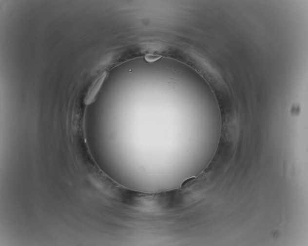 X0000097000417200802081448