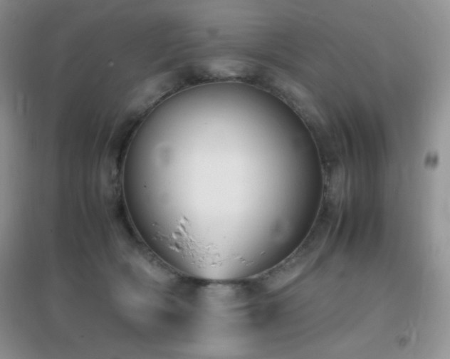 X0000097000418200802081448