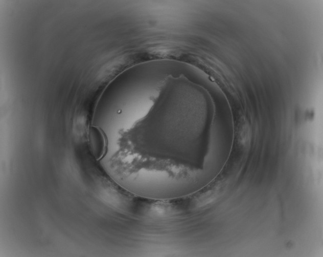 X0000097000420200802081448