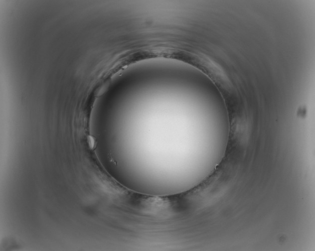 X0000097000421200802081448