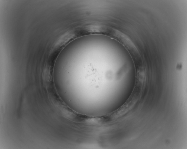X0000097000422200802081448