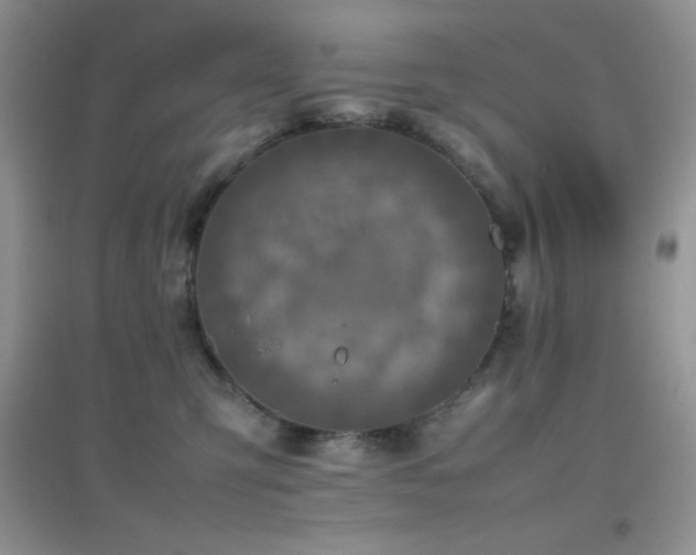 X0000097000423200802081448