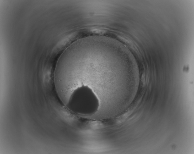 X0000097000424200802081448