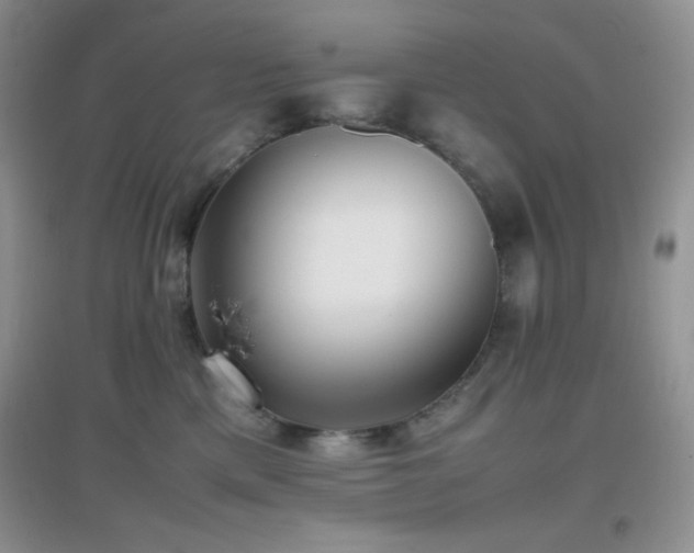 X0000097000425200802081448
