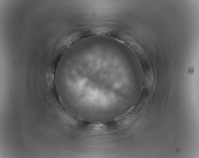X0000097000427200802081448