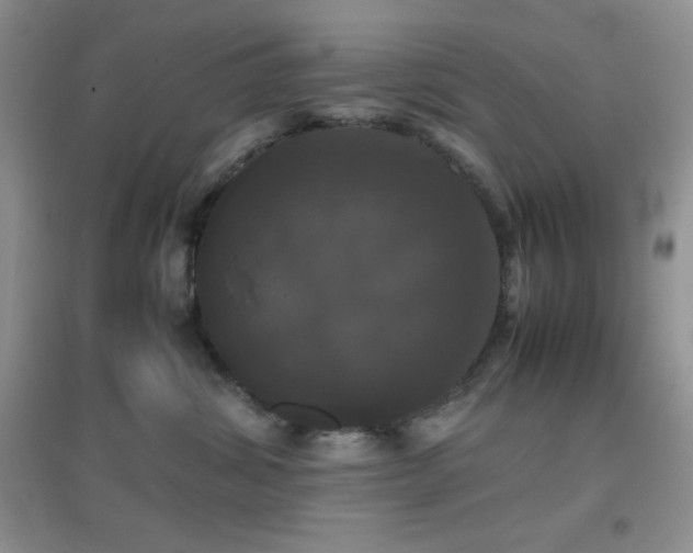X0000097000428200802081448