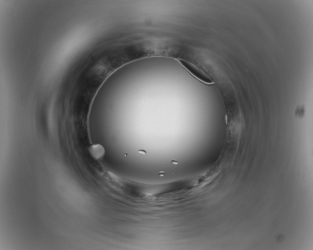 X0000097000429200802081448