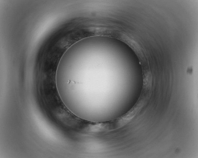 X0000097000430200802081448