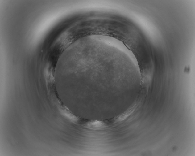 X0000097000431200802081448
