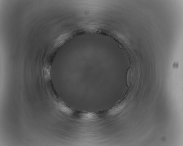 X0000097000432200802081448