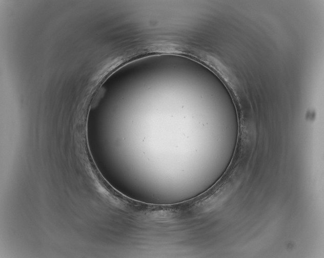 X0000097000433200802081447