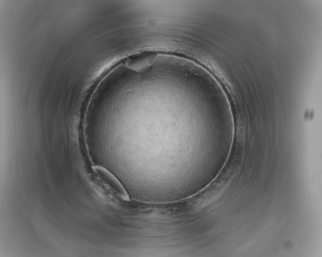 X0000097000434200802081447
