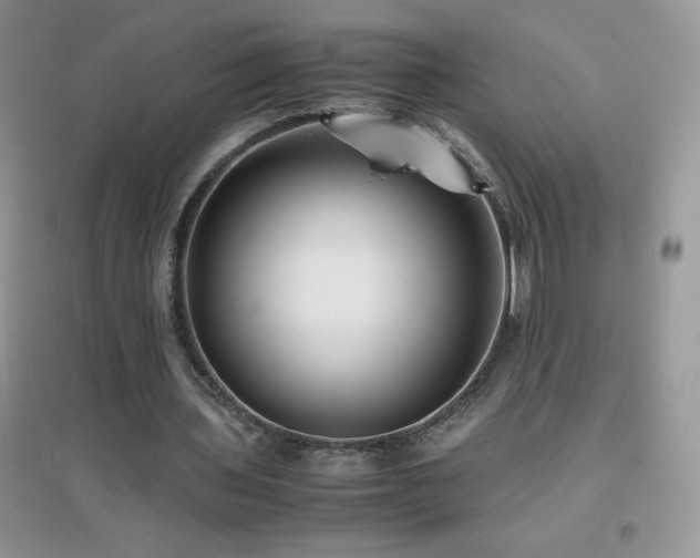 X0000097000435200802081447